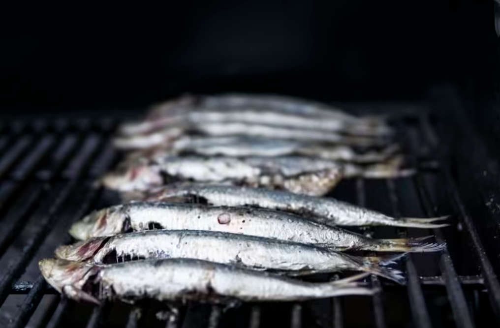 SARDINAS-OMEGA-3-MEDVOX.CL